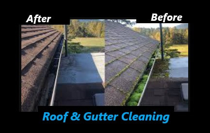 Porterville Roof and Gutter Cleaning