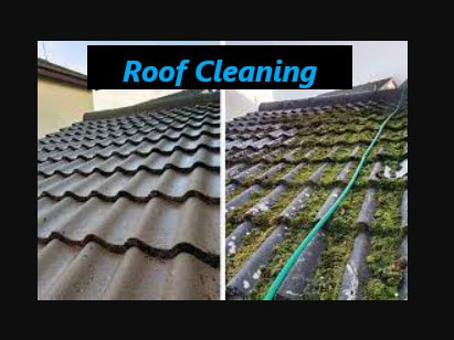 Porterville Roof Cleaning